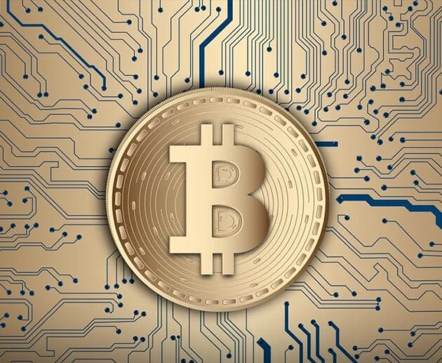 Cryptocurrencies Explained: Why 2024 is the Year to Invest!